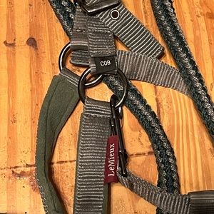 Lemieux Halter